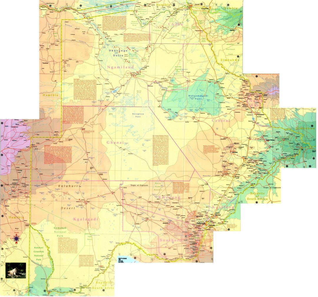 Большая детальная топографическая карта Ботсваны с дорогами, городами и другими пометками