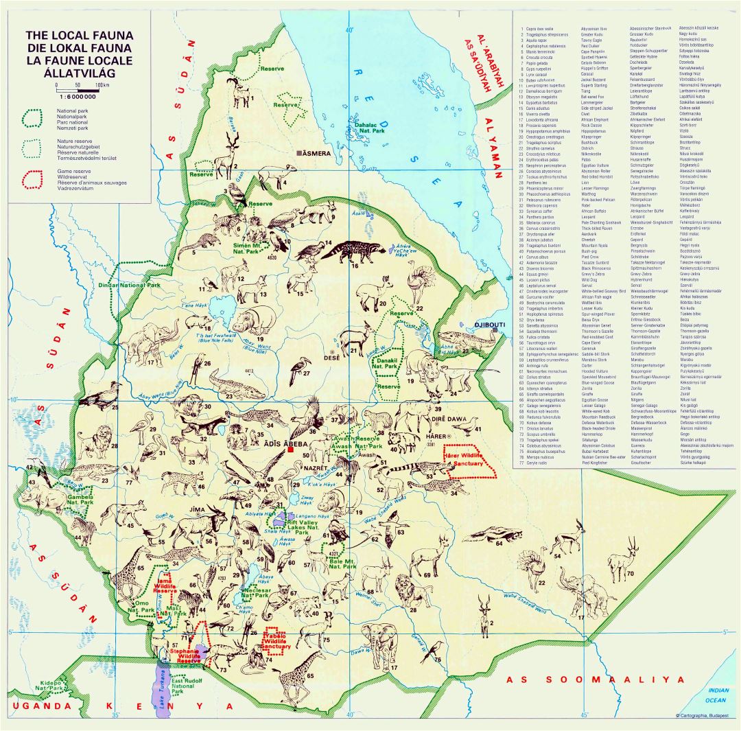 Большая детальная карта местной фауны Эфиопии