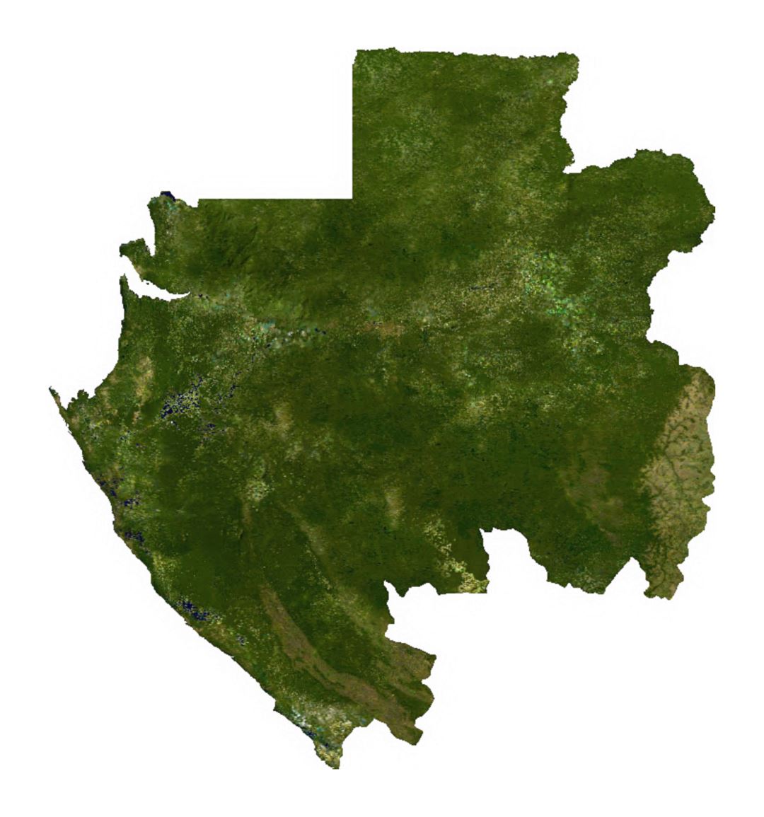 Спутниковая карта Габона