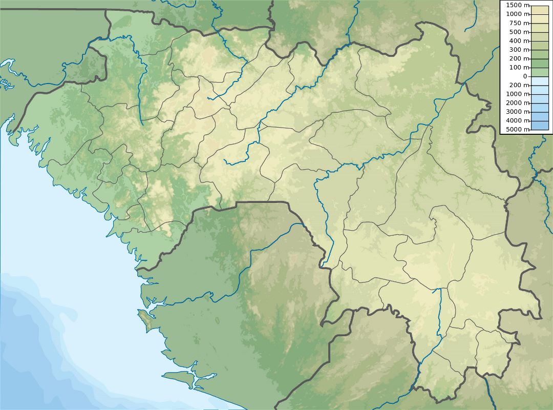 Большая физическая карта Гвинеи