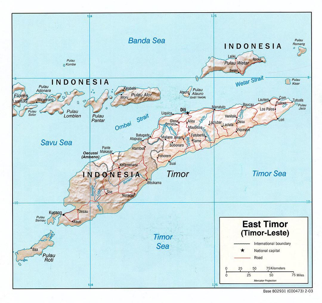 Детальная политическая карта Восточного Тимора с рельефом, дорогами и крупными городами - 2003