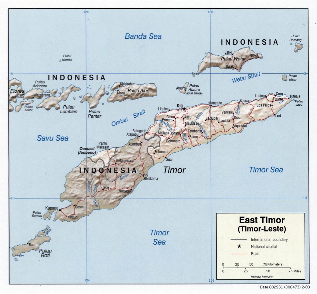 Большая детальная политическая карта Восточного Тимора с рельефом, дорогами и крупными городами - 2003