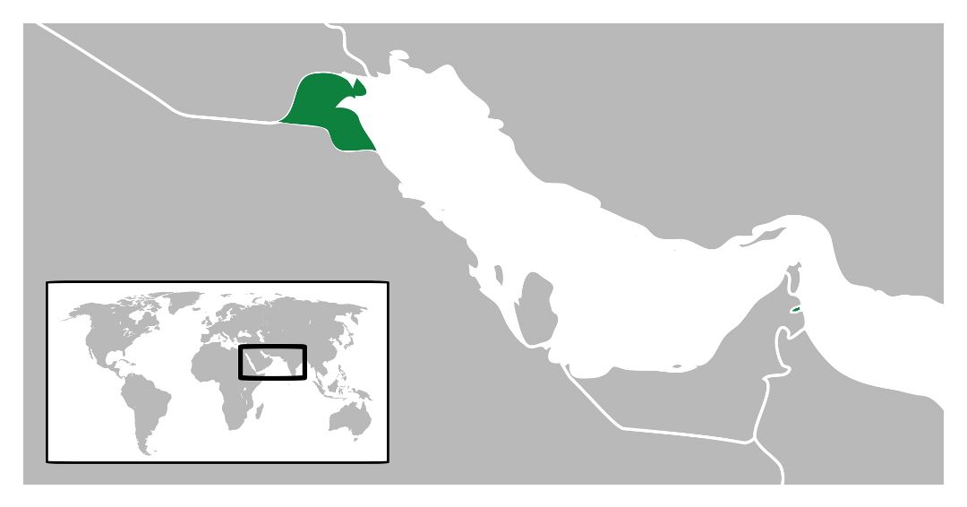 Большая карта расположения Кувейта