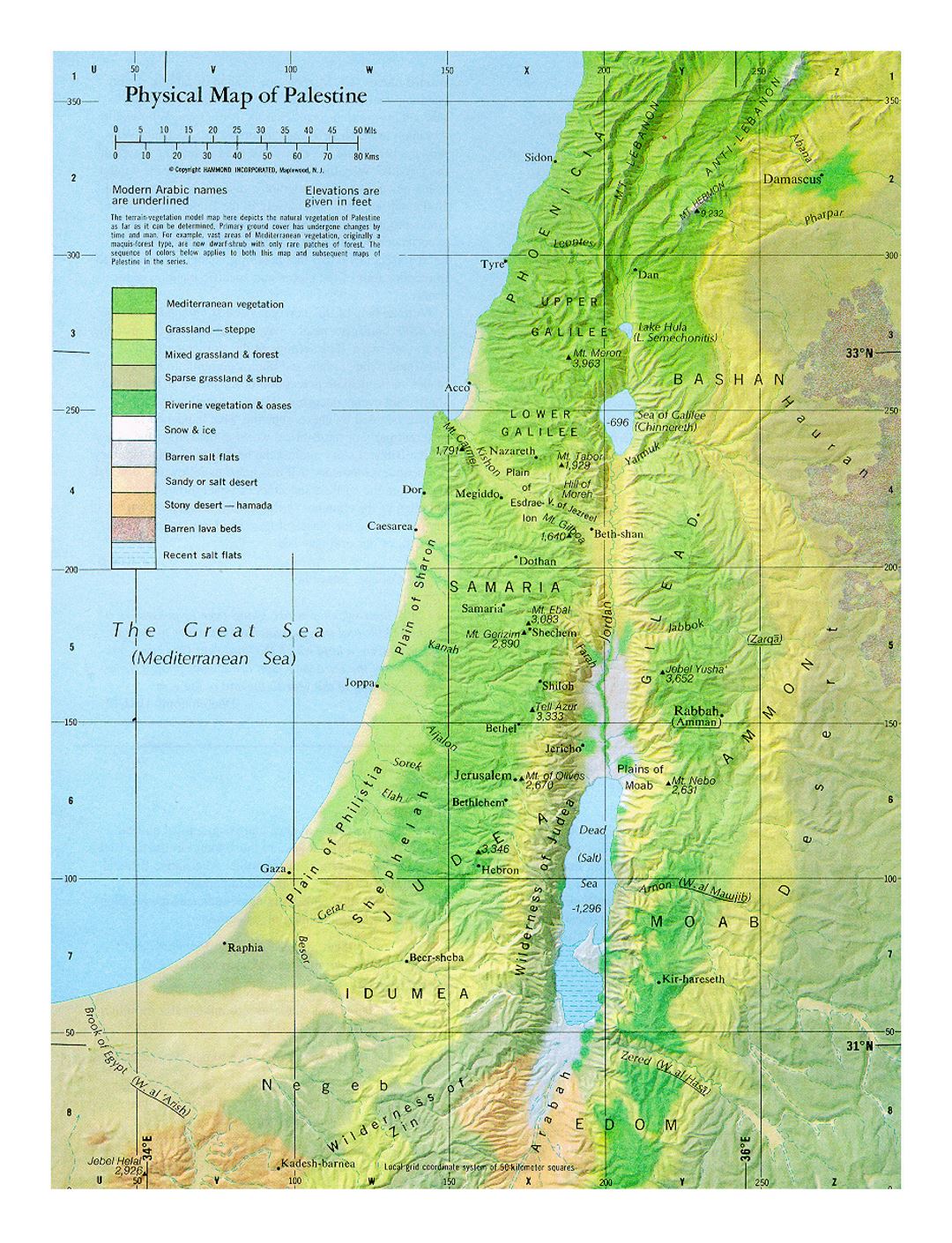 Детальная физическая карта Палестины