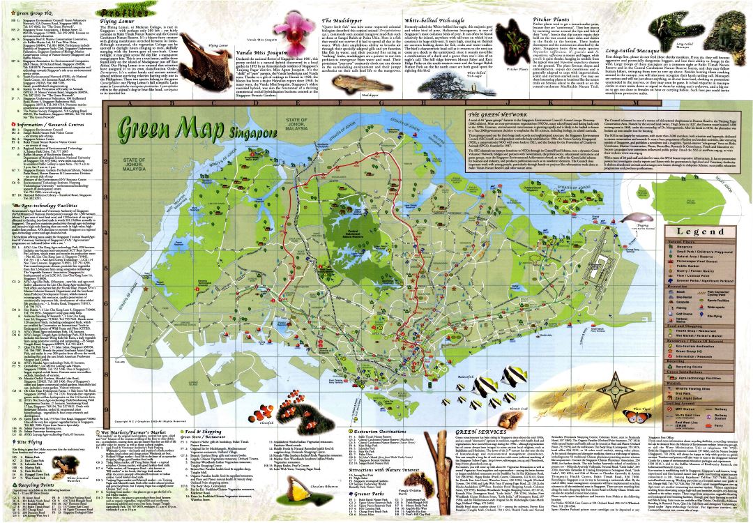 Большая детальная зеленая карта Сингапура