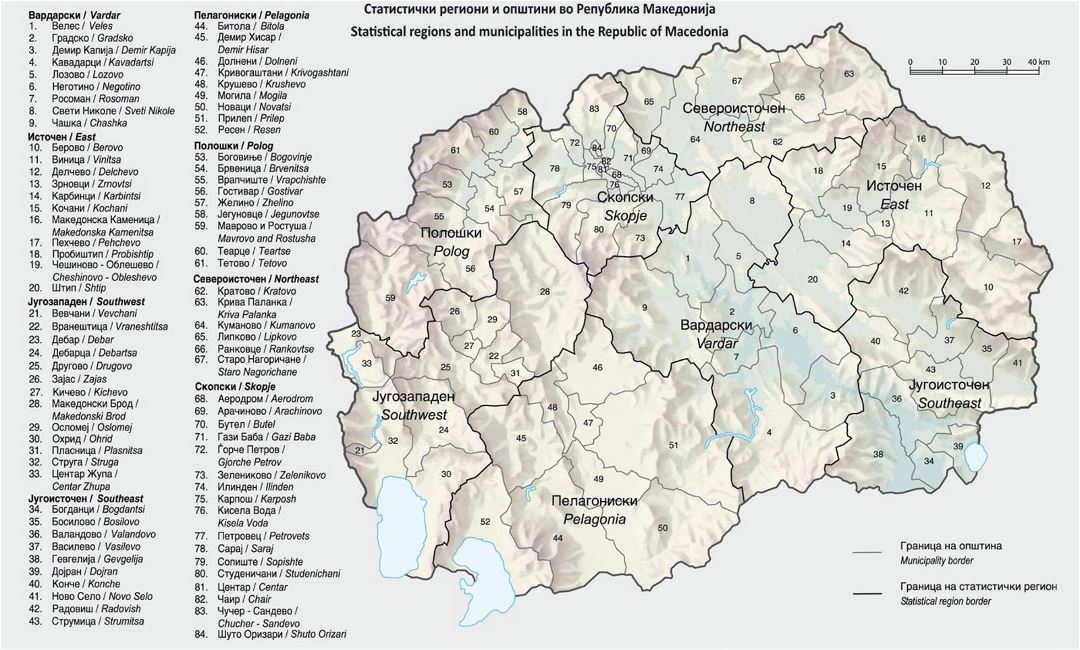 Большая карта статистики регионов и муниципалитетов в Республике Македония