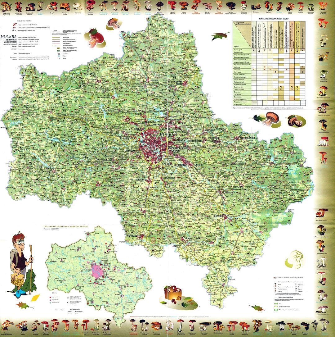 Большая подробная грибная карта Московской области на русском языке
