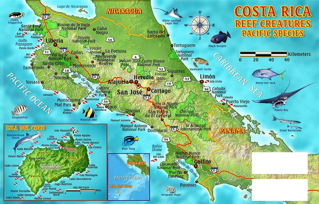 Большая детальная карта погружений Коста-Рики
